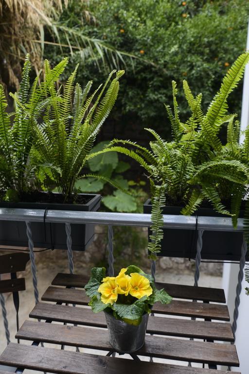 Your "Home Away From Home" In Acropolis Athens Exterior photo